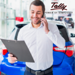 Salesman wise report in Tally