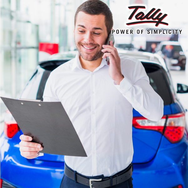 Salesman wise report in Tally