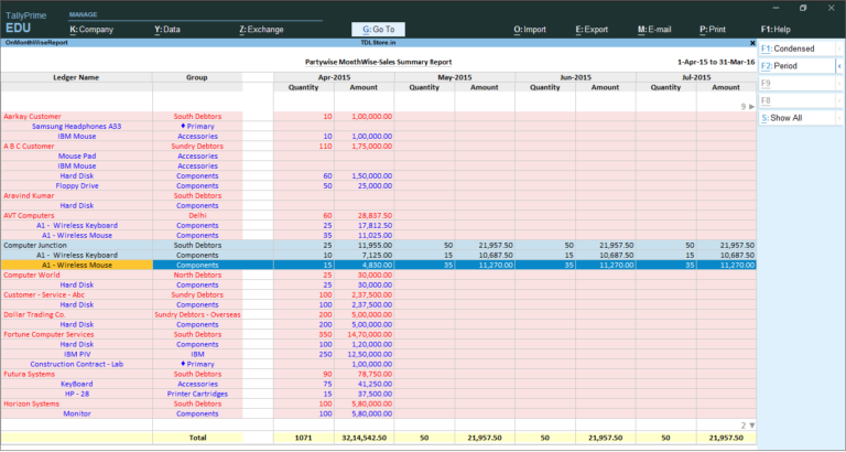 No. 1 Tdl For Mis Reports In Tally 